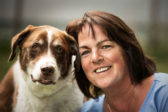 Der Mensch als Schlüssel zum Erfolg im Hundetraining