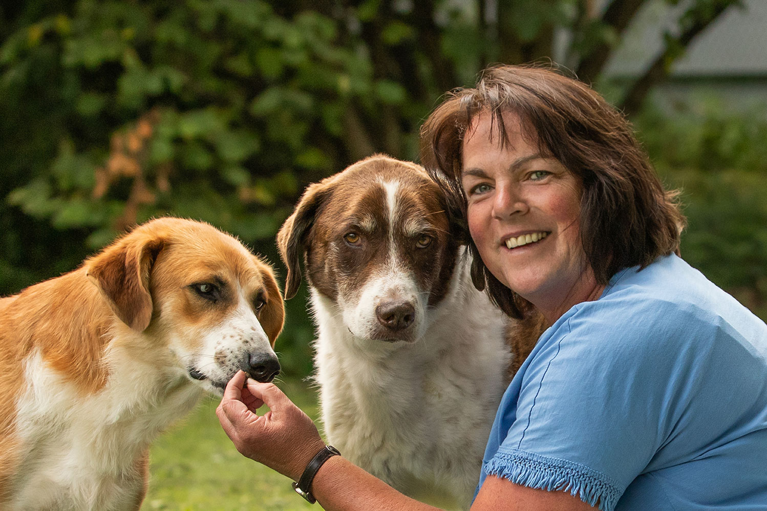 Verständnis und Vertrauen zwischen Mensch und Hund